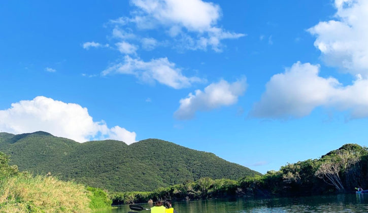 生徒さんたちとマングローブの森でカヌー