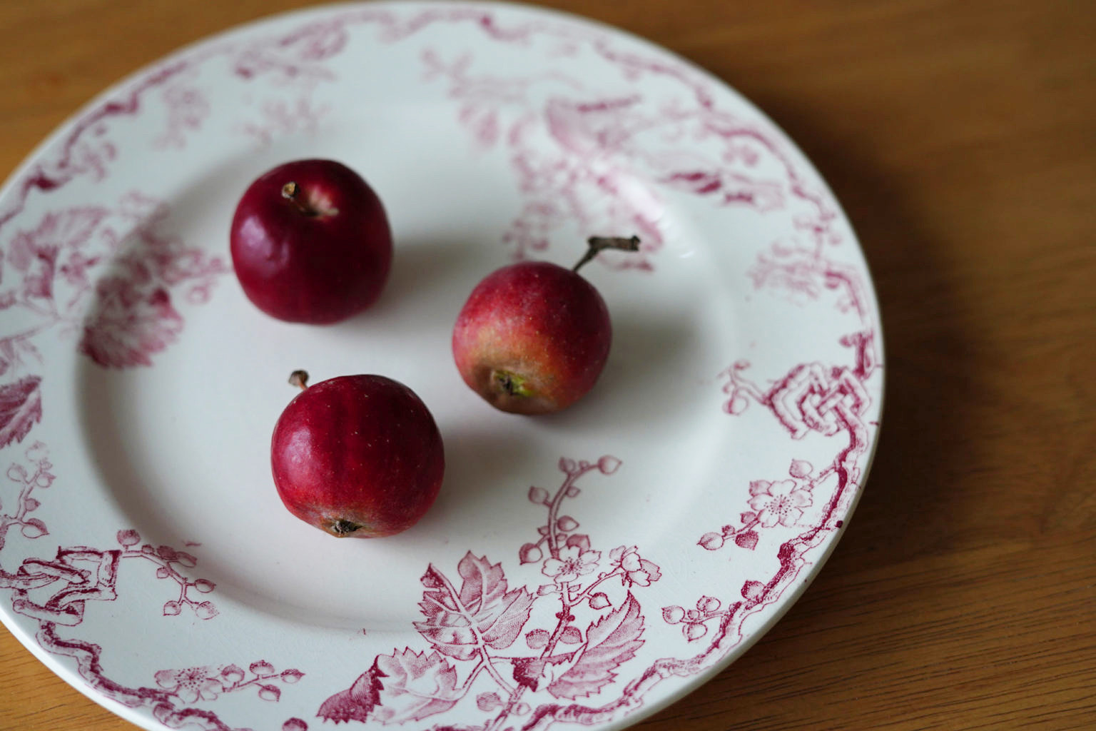 ロビネペタルで手に入れた小さなリンゴの写真撮影用の小道具