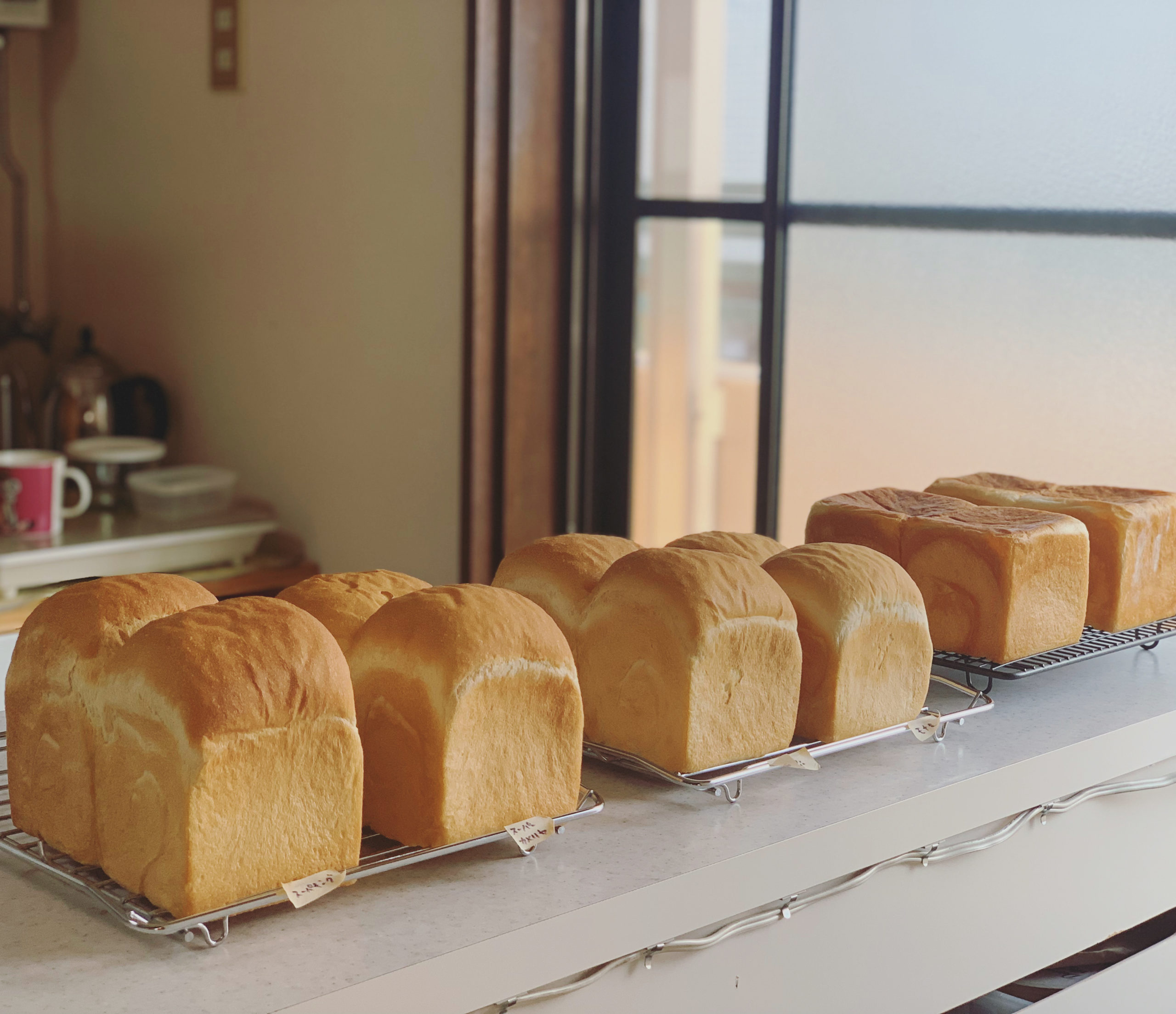 食パンの比較（こね比べ・焼き比べ・窯伸び比べ・粉比較などなど）