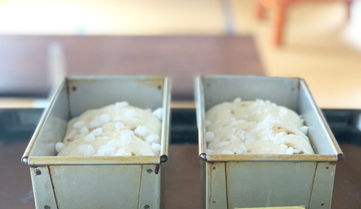 食パンの発酵の様子