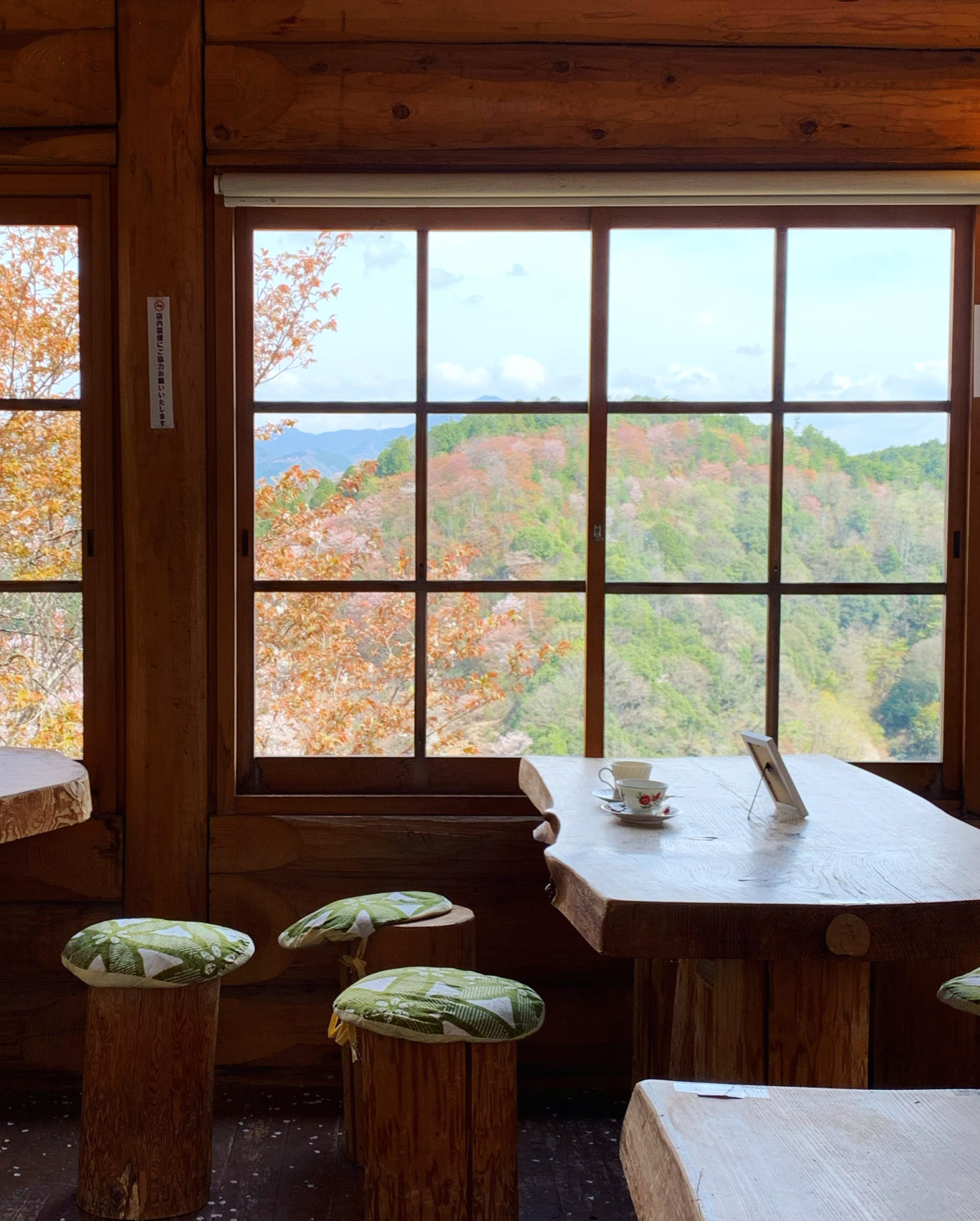吉野山の陽ぼっこカフェ・窓から見える桜がキレイ